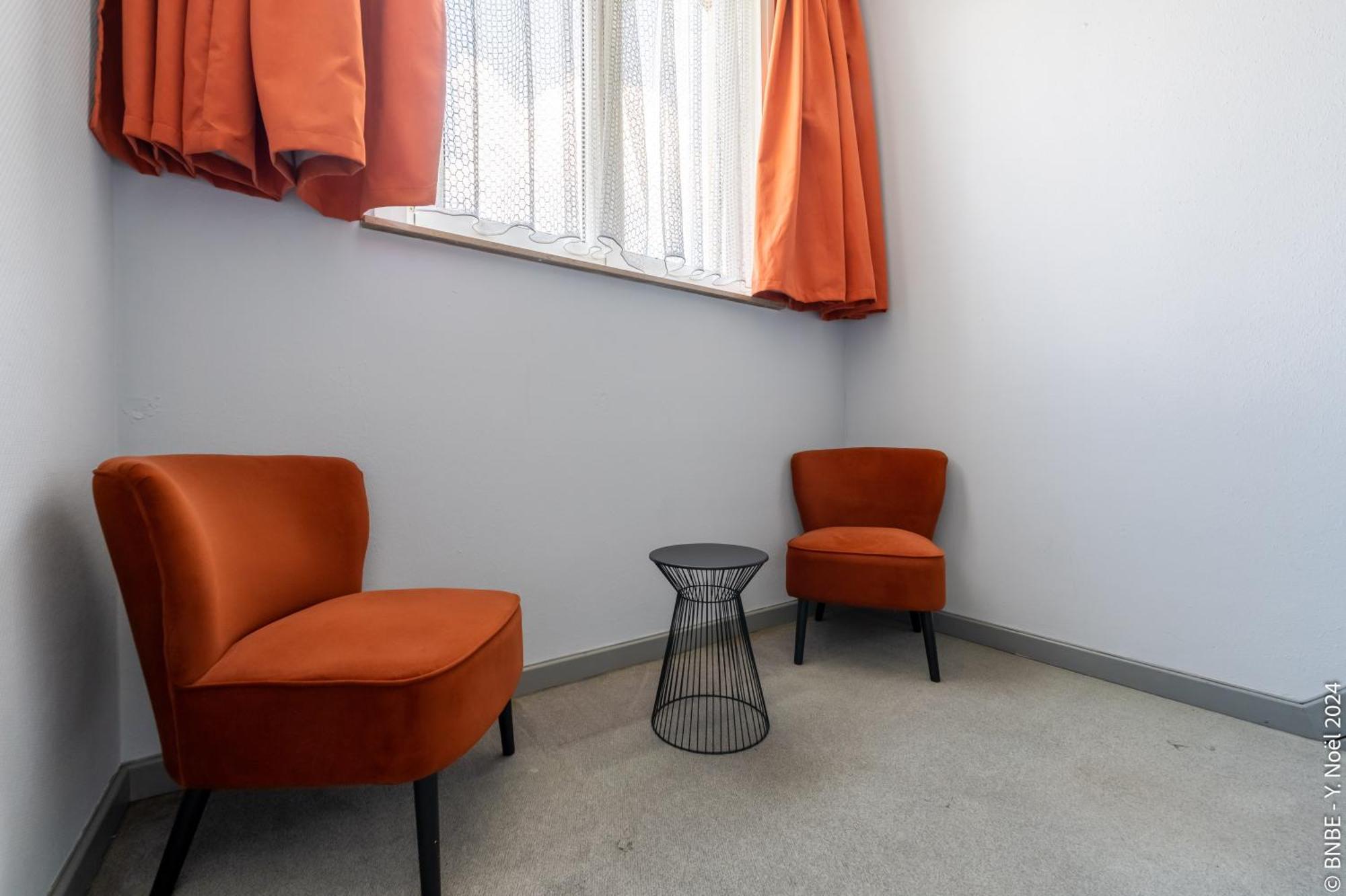 La Louve - Big Place & Garden - Parking Gratuit Brussels Ngoại thất bức ảnh