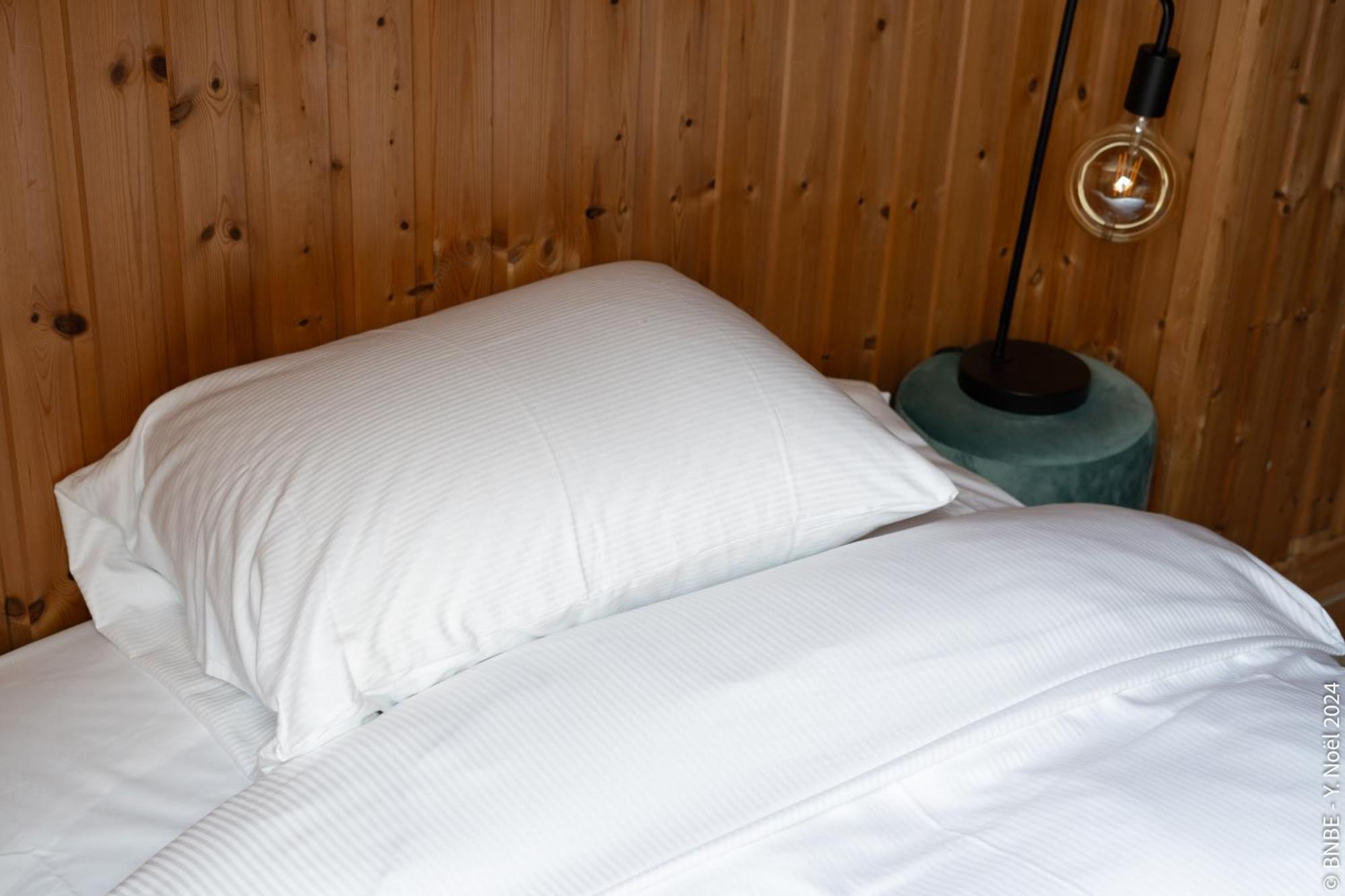 La Louve - Big Place & Garden - Parking Gratuit Brussels Ngoại thất bức ảnh