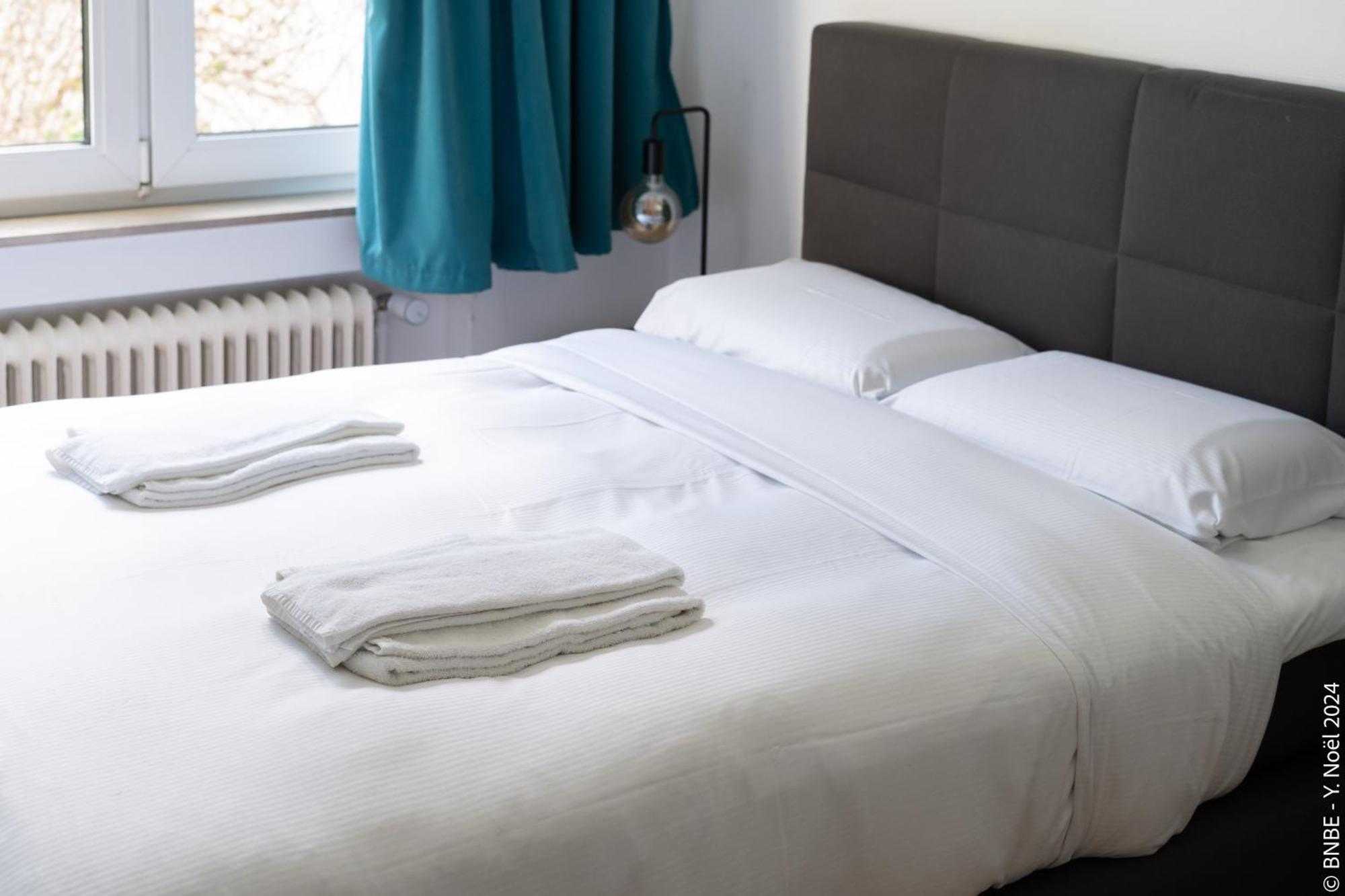 La Louve - Big Place & Garden - Parking Gratuit Brussels Ngoại thất bức ảnh